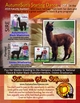 2019 Futurity LOT 6