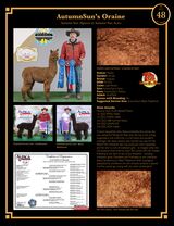Bid to own Oraine!