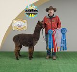 2022 GWAS & RMAS Halter