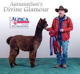 2023 AOA National Halter Show