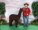 2022 AOA National Show 