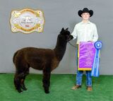 Miranda's champion dam: 9x Molly