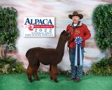 2022 AOA National Alpaca Show 