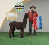 2022 GWAS & RMAS Halter
