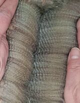 Lilac fleece in Jan '23
