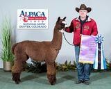Potential service sire -  13x Champ Truthsayer
