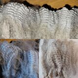 Juvenile fleece
