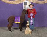 2025 Futurity -- stepping true from 2-yr-old class to the champion win!