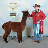 2025 - Yearling