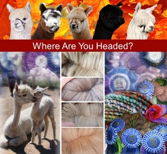 We are involved in all aspects of the fiber!