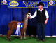 2013 NWSS Reserve at just over 1 year.