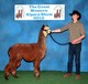 GWAS 2013 - Yearling