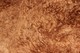 cria fleece