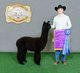 2016 Great Western Alpaca Show