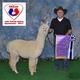 2017 TXOLAN -- judge loved her all around qualities.