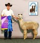 2015 GWAS Champion as a Juvenile!