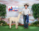 Her award winning appaloosa Aunt, Freestylin