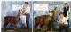 1st & RC at SWRAS and won 3rd for Lola in Produce of Dam, against whites!
