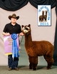 2015 GWAS Reserve Champion at 2 yrs old.