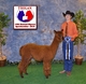 2015 TxOLAN - MB Yearling