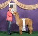 Sire: Snowmass Velvetier