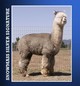Grandsire: Snowmass Silver Signature