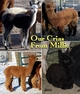 Millie's crias for us