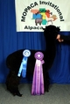 2-year old Reserve Champion at 2012 MOPACA