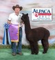 His 13x Black Champion son, Maelstrom