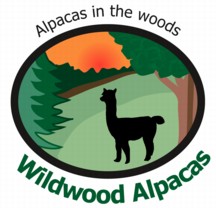 WILDWOOD ALPACAS