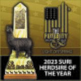 alpaca for sale