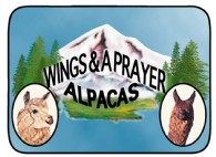 Wings and A Prayer Alpacas - Logo