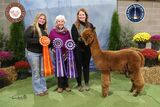 Photo of ESTATES RINGMASTER'S REGAL PRINCE