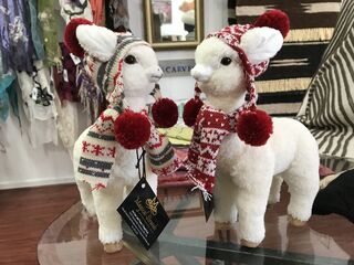 Jolly Good Fun at Alpaca Country Estates