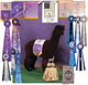 alpaca for sale