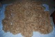 alpaca for sale