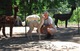 alpaca for sale