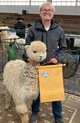 alpaca for sale