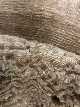 alpaca for sale