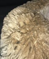 alpaca for sale