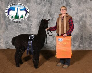 Photo of Cedar's Black Thunder