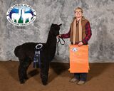 Photo of Cedar's Black Thunder