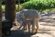 Found the milk bar! Yummmm