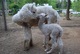 Kisses from mama