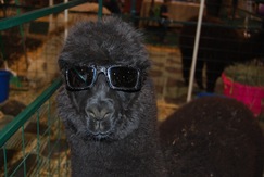 Such a cool dude!
