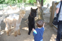 Hayden meets Max and Maverik