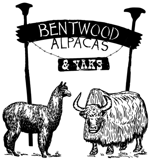 Bentwood Alpacas & Yaks
