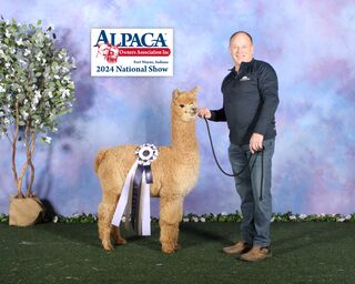 Photo of HFAR Best Bet's Royal Flush