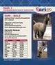 alpaca for sale