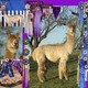 alpaca for sale